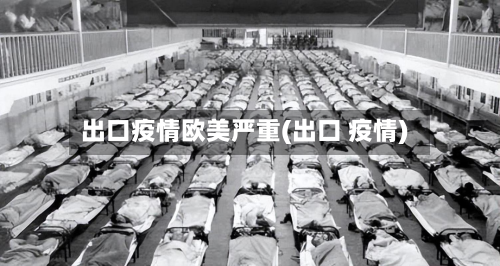 出口疫情欧美严重(出口 疫情)-第2张图片