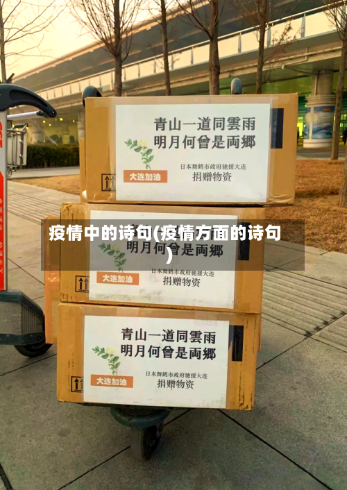 疫情中的诗句(疫情方面的诗句)-第2张图片