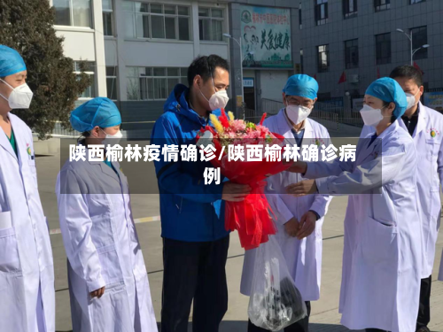 陕西榆林疫情确诊/陕西榆林确诊病例-第2张图片