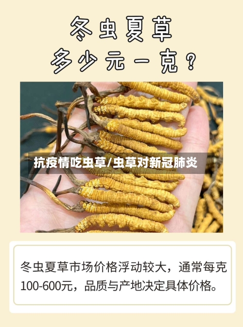 抗疫情吃虫草/虫草对新冠肺炎