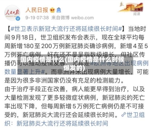 国内疫情是什么(国内疫情是什么时候爆发的)-第3张图片