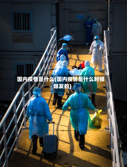 国内疫情是什么(国内疫情是什么时候爆发的)-第2张图片