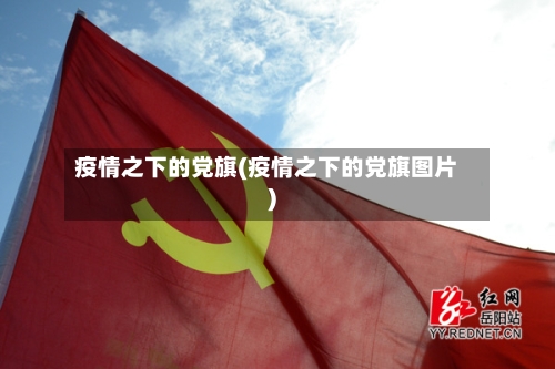 疫情之下的党旗(疫情之下的党旗图片)-第3张图片