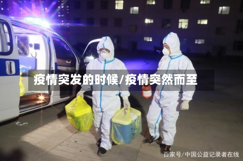 疫情突发的时候/疫情突然而至-第2张图片