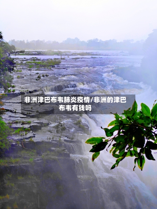 非洲津巴布韦肺炎疫情/非洲的津巴布韦有钱吗
