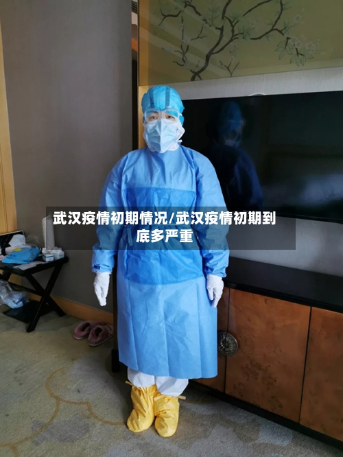 武汉疫情初期情况/武汉疫情初期到底多严重-第2张图片