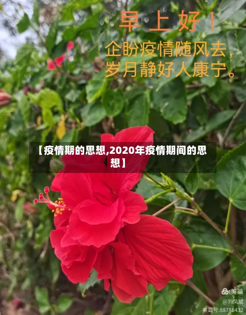 【疫情期的思想,2020年疫情期间的思想】-第2张图片